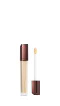 Vanish Airbrush Concealer